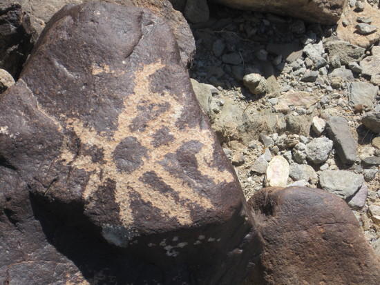 20 Petroglyph