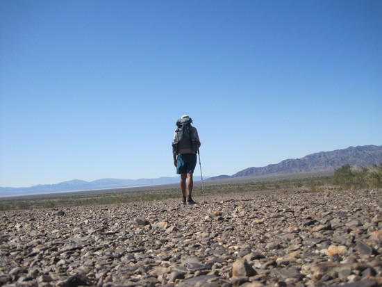 24 Desert Pavement