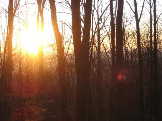Sunrise