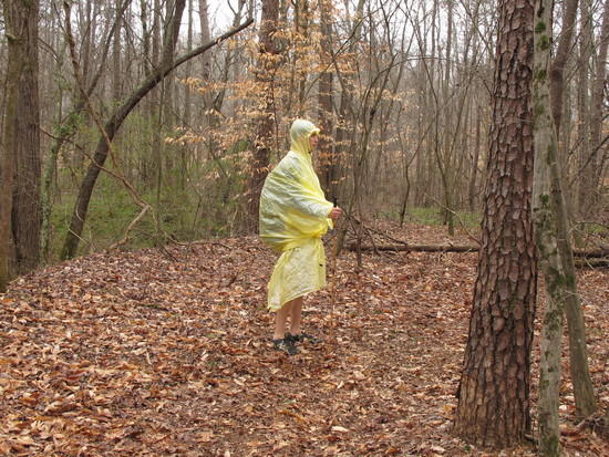 tarp