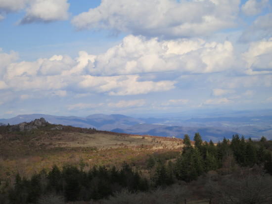 along at