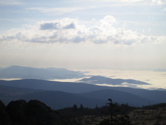 view