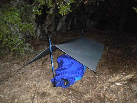 tarp