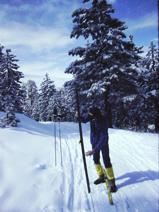 sierra nordic skiing