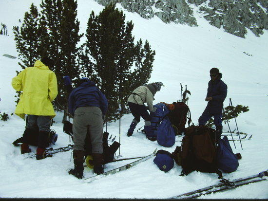 sierra nordic skiing