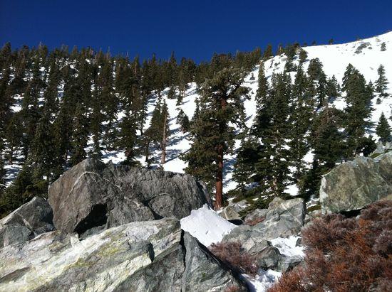 Ridge camp