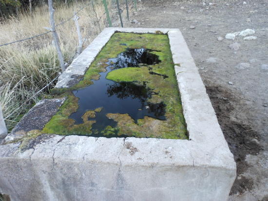 water