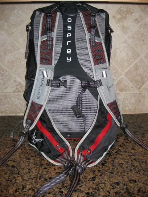 Hornet 24 Back Panel