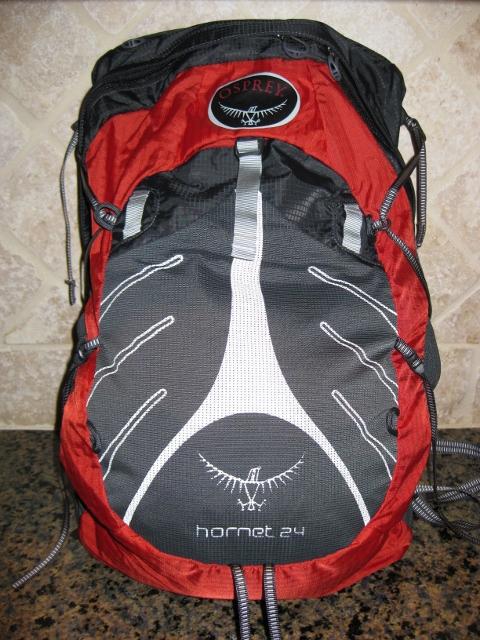 Hornet 24 Front