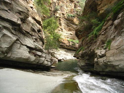 punch bowl