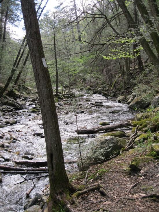 river2