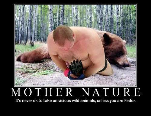 Bear Boxing