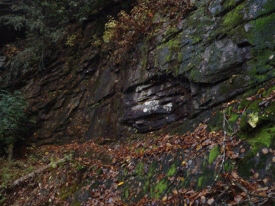 Wet rocks