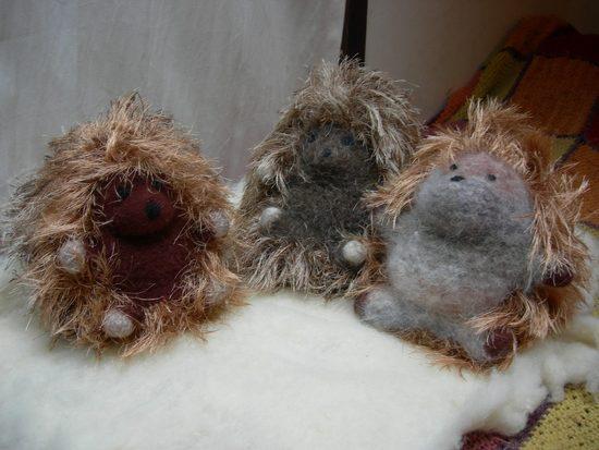 hedgehogs