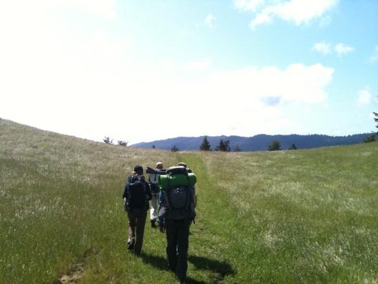 meadow