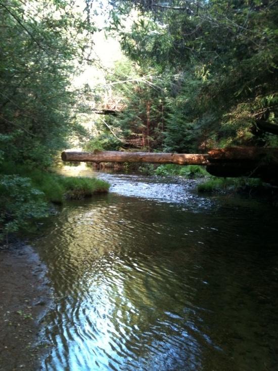 log