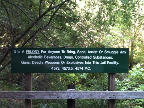 felon