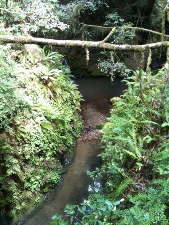 creek