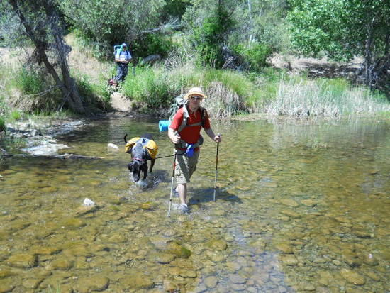 sespe 2012