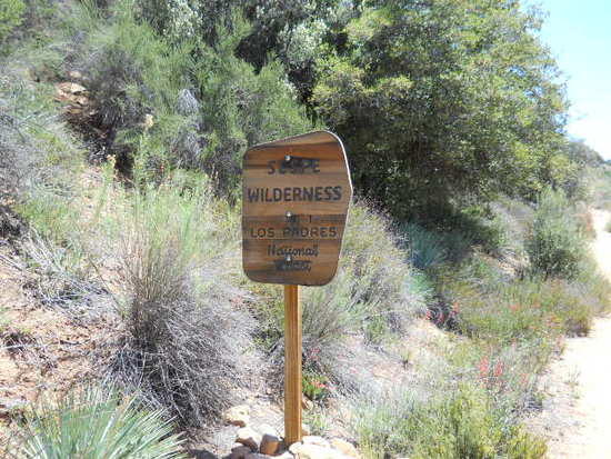 sespe 2012