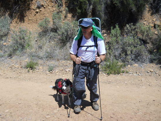 sespe 2012