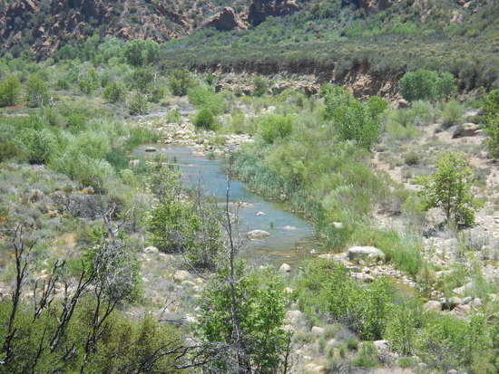sespe 2012