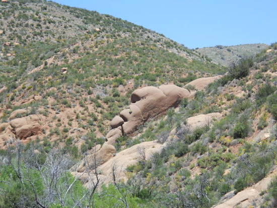 sespe 2012