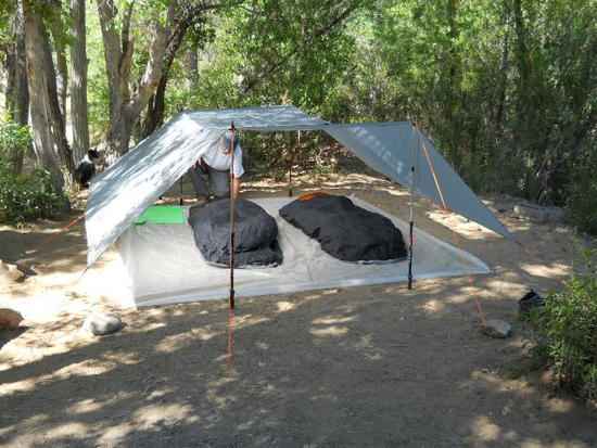 sespe 2012