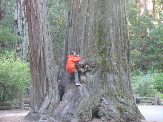 Natalie on Redwood
