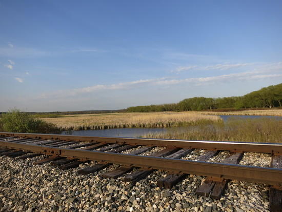 tracks