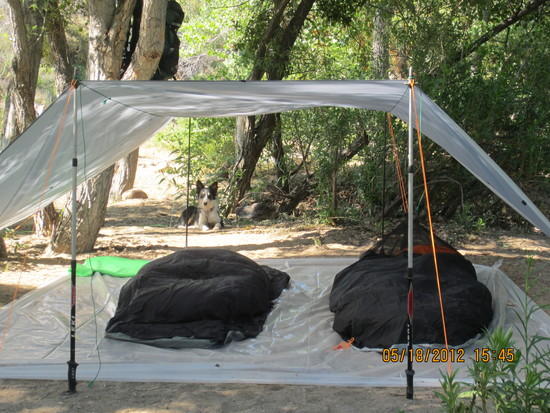tarp
