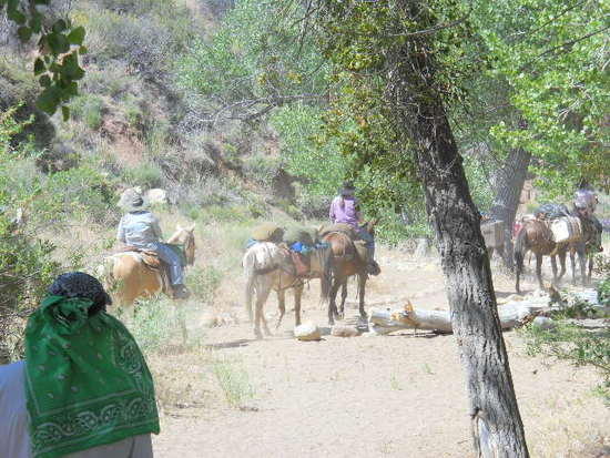 sespe 2012