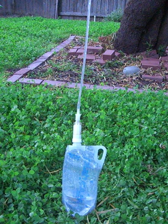 yard