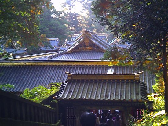 photo2
