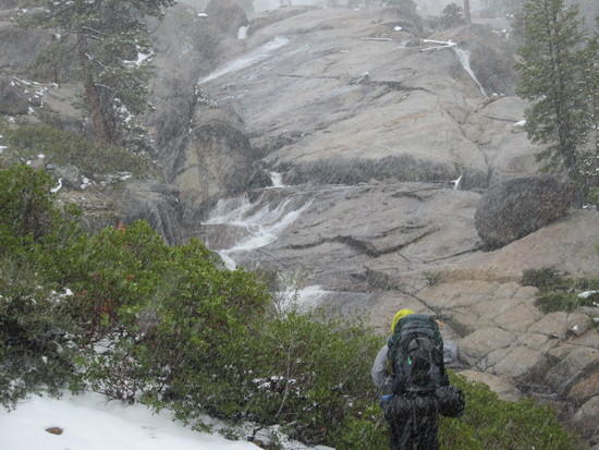 Snow really coming down