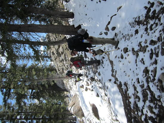Snow for 3 days prior and night before was melting very quckly