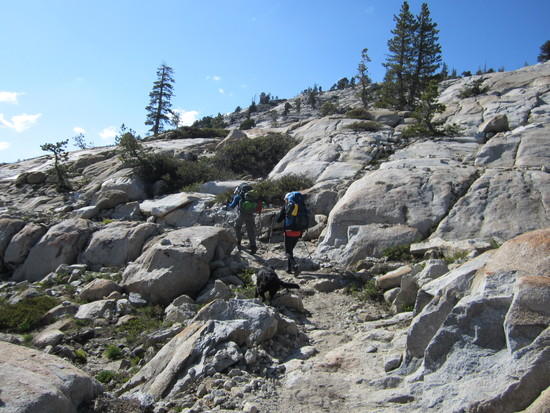 Once Trail Crossed Meadow Creek to the north, no snow to be seen. thank god!