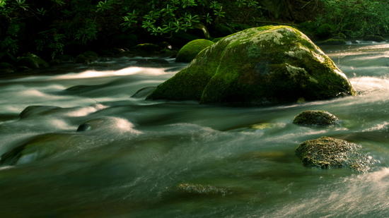 Smokies May 2012 - Upper Forney Creek