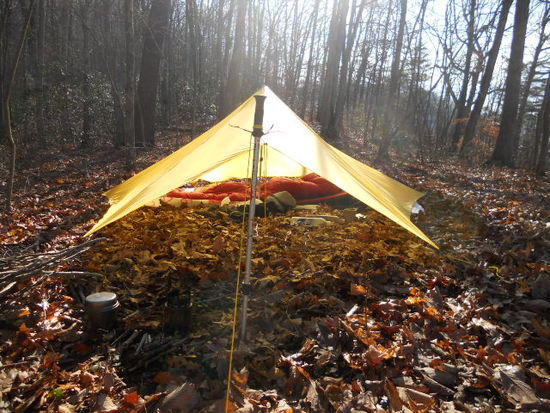 Trailstar Pic
