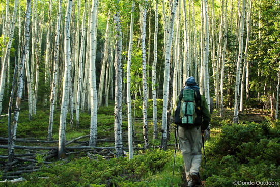 goose creek loop