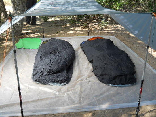 sespe 2012
