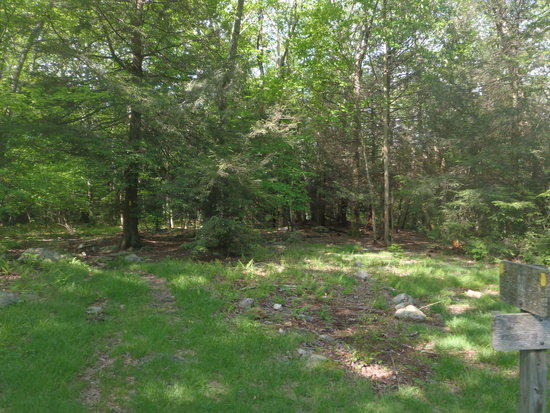trail2