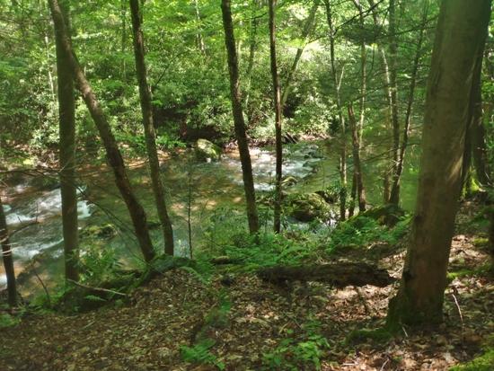trail3
