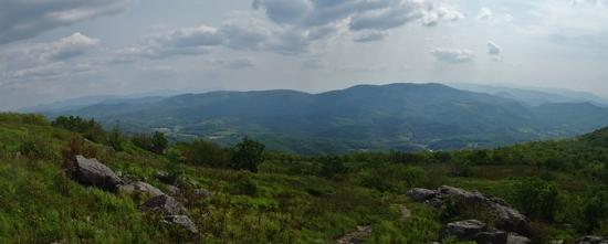 view