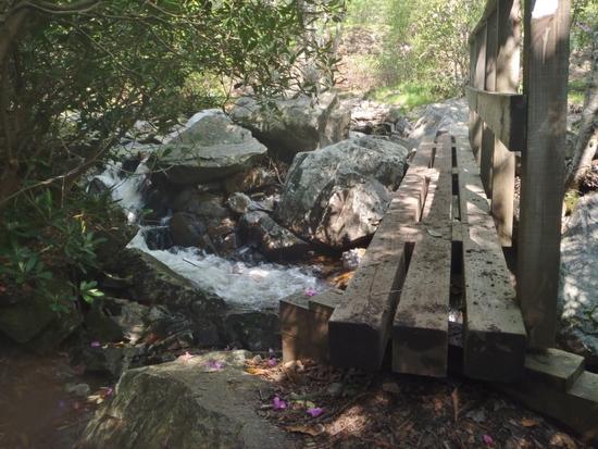 Wilson Branch