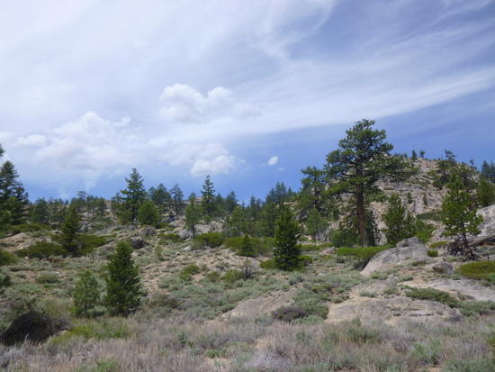 sky