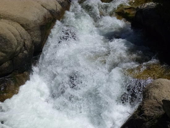 water