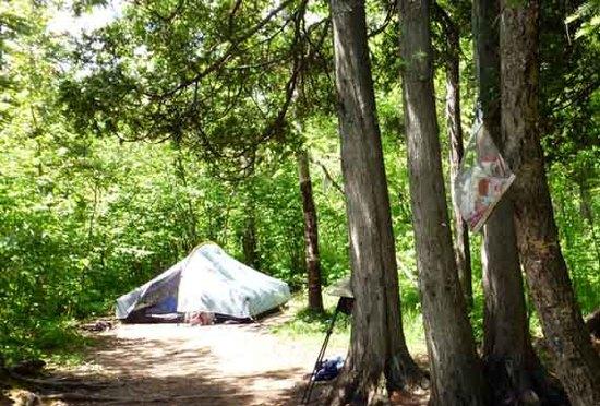 tent