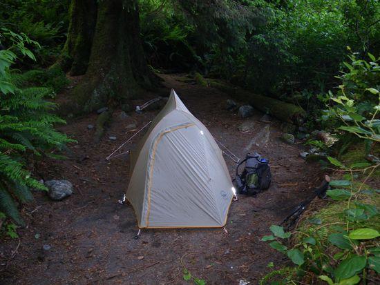 Treed campsite on WCT