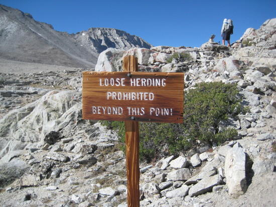 Stock Sign